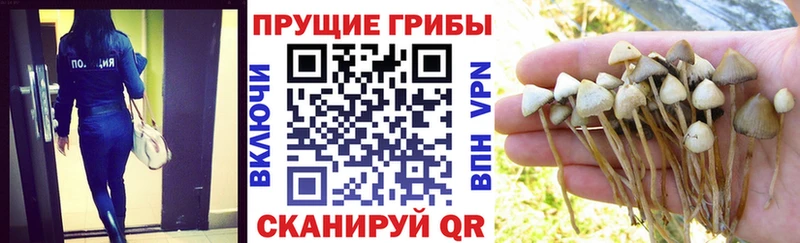 Галлюциногенные грибы Cubensis  закладки  блэк спрут ONION  Тюмень 